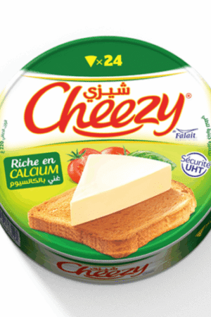 CHEEZY fromage 24 portions