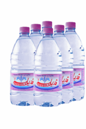 GUEDILA EAU MINÉRALE 1L