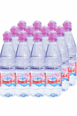 GUEDILA EAU MINÉRALE SPORT 0,5L