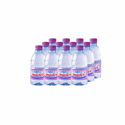 GUEDILA EAU MINÉRALE 0,33L