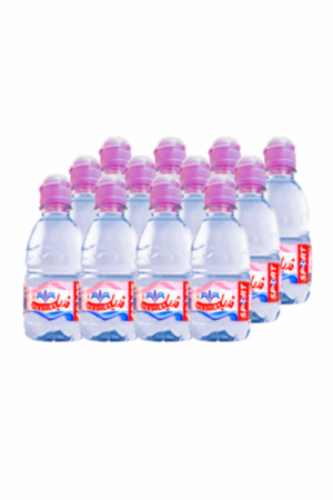 GUEDILA EAU MINÉRALE SPORT 0,33L